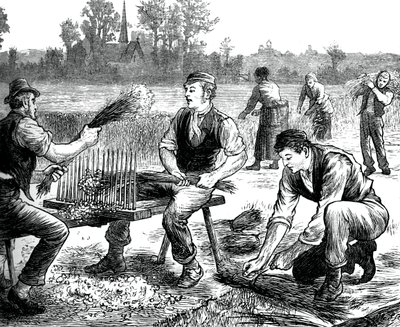 Lin krusende, c1880 av Unbekannt