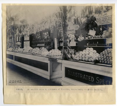 Florida hagebruk utstiller i Palace of Horticulture på verdensutstillingen i 1904 av Unbekannt