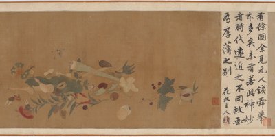 Blomster, frukt, skjell og insekter, 1368-1644. av Unbekannt