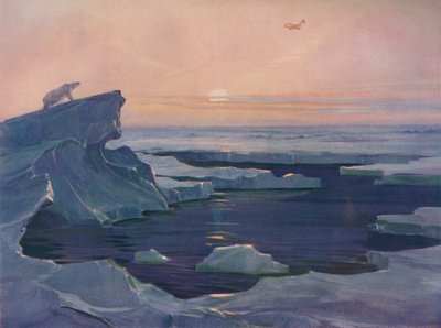Flying over Polar Wastes, 1927 av Unbekannt