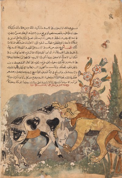 Folio fra en Kalila wa Dimna, 1700-tallet. av Unbekannt