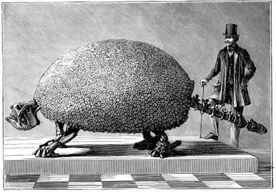 Fossil av en gigantisk beltedyr fra Sør-Amerika, c1890 av Unbekannt