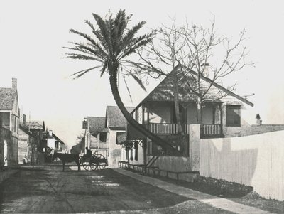 Francis Street, St. Augustine, USA, 1895. av Unbekannt