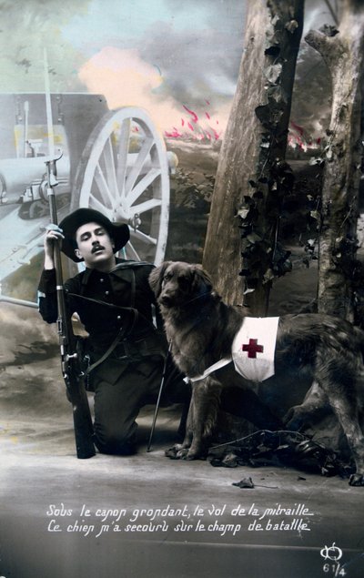 Fransk postkort fra første verdenskrig, 1914-1918 av Unbekannt
