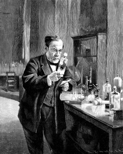 Fransk kjemiker og mikrobiolog Louis Pasteur 18221895 av Unbekannt