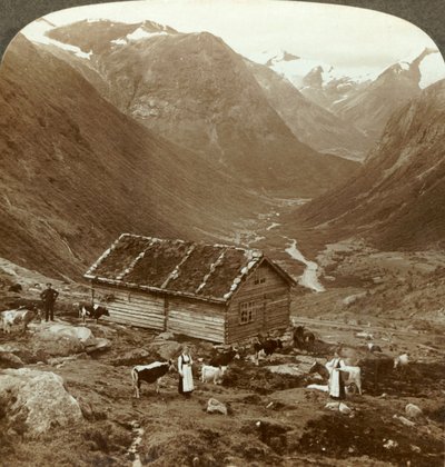 Fra fjellkroa ved Vidde saeter nedover Viddedalen - Skaalafjellet i rett avstand, c1905. av Unbekannt