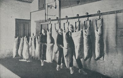 Frosset kjøtt, 1910 av Unbekannt