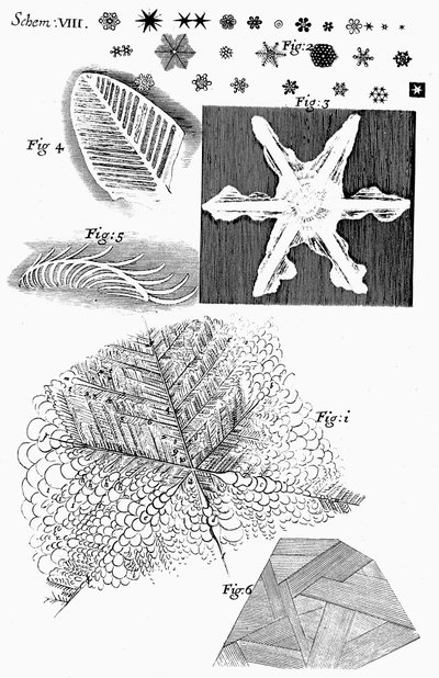 Frosne materialer sett av den engelske mikroskopisten Robert Hooke, 1665 av Unbekannt