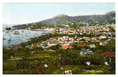 Funchal, Madeira, tidlig på 1900-tallet av Unbekannt
