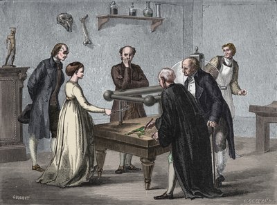 Galvanis funn, 1780 1894 av Unbekannt