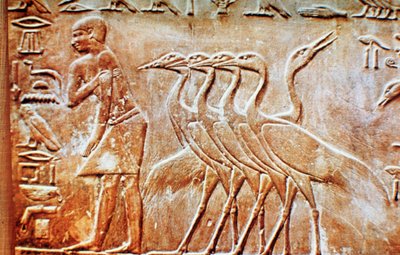 Gjess, veggrelieff fra graven til Ptahhotep, Saqqara, Egypt, 24. århundre f.Kr. av Unbekannt