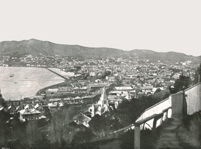 Generell utsikt over byen, Wellington, New Zealand, 1895. av Unbekannt