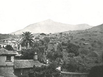 Generell visning som viser toppen, Tenerife, Kanariøyene, Spania, 1895. av Unbekannt