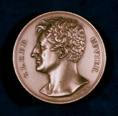 Georges Leopold Chretien Frederic Dagobert, Baron Cuvier, fransk anatom, 1800-tallet av Unbekannt