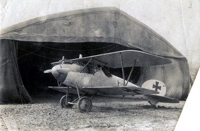 Tyske Albatros DV, Souilly, Frankrike, 2. januar 1918 av Unbekannt