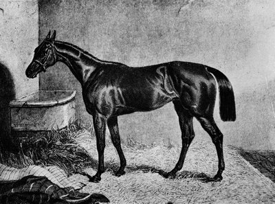 Ghuznee, 1800-tallet, 1911 av Unbekannt