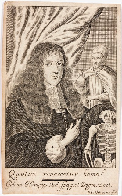 Gideon Harvey, englischer Arzt von Unbekannt