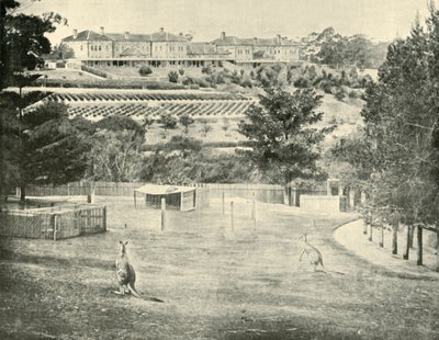 Gladesville Asylum for the Insane, New South Wales, 1901. av Unbekannt
