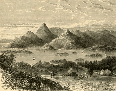 Glengariff Harbour og Bantry Bay fra Eccles Hotel, 1898. av Unbekannt