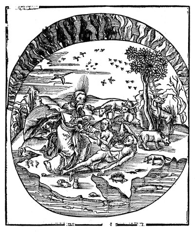 Gud skapte Eva fra Adams ribbein, 1508 av Unbekannt