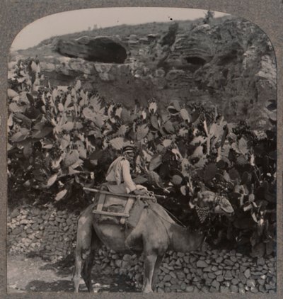 Golgata The Place of the Skull, ca 1900 av Unbekannt