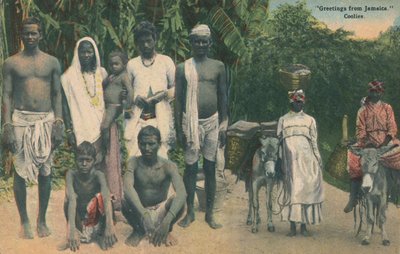 Hilsen fra Jamaica. Coolies, tidlig på 1900-tallet. av Unbekannt