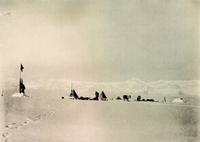 Grisi-depot, breddegrad 82° 45 sør, c1908, 1909. av Unbekannt