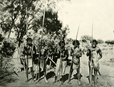 Group of Aboriginal Men, Queensland, Australia, 1901. av Unbekannt