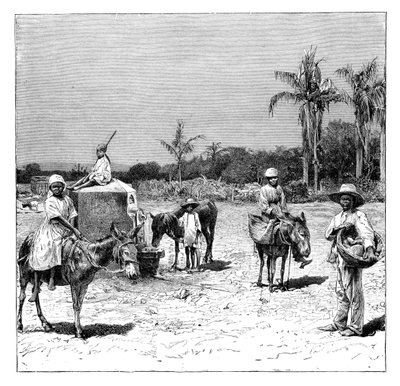Gruppe av haitiere, ca 1890 av Unbekannt