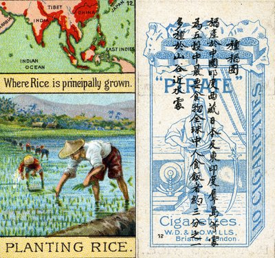 Growing and Planting Rice, fra serien med 