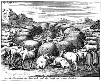 Vokter sauer og storfe om natten, Sør-Afrika, 1700-tallet 1931 av Unbekannt