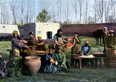 Gut-dressing Works, Bukhara, Usbekistan, c1890 av Unbekannt