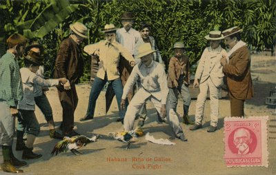 Havanna: Rina de Gallos. Hanekamp, ​​1918 av Unbekannt