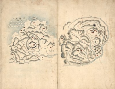 Haedong lidenskap. Hosŏ chŏndo. av Unbekannt
