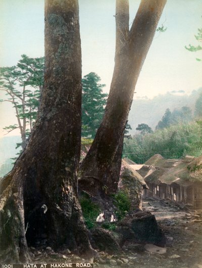 Hata ved Hakone Road, Japan, tidlig på 1900-tallet av Unbekannt