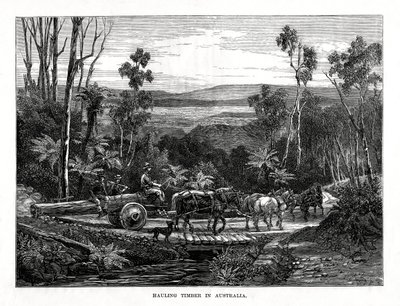 Hauling tømmer, Australia, 1877 av Unbekannt