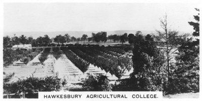 Hawkesbury Agricultural College, New South Wales, Australia, 1928 av Unbekannt