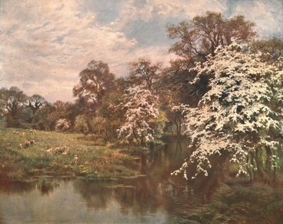 Hawthorn Blossoms, c1899, c1902. av Unbekannt