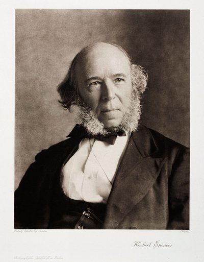 Herbert Spencer , engelsk sosialfilosof av Unbekannt