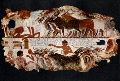 Besetninger med storfe fra tiden til det 18. dynastiet, Egypt, ca 1400 f.Kr. 1936 av Unbekannt