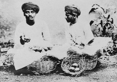 Hindufruktselgere, India, 1900-tallet av Unbekannt