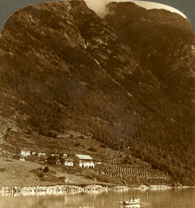 Hogrending gård, ved fjellbasen, på østsiden av Loensjøen, Norge, c1905. av Unbekannt