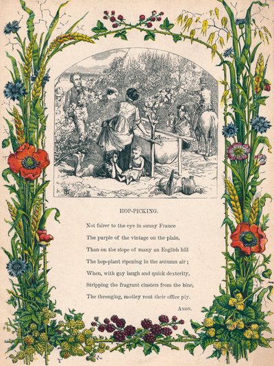 Humleplukking, c1900 av Unbekannt