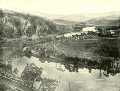 Hop Gardens i Tasmania, 1901. av Unbekannt