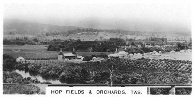 Humlemarker og frukthager, Tasmania, Australia, 1928 av Unbekannt