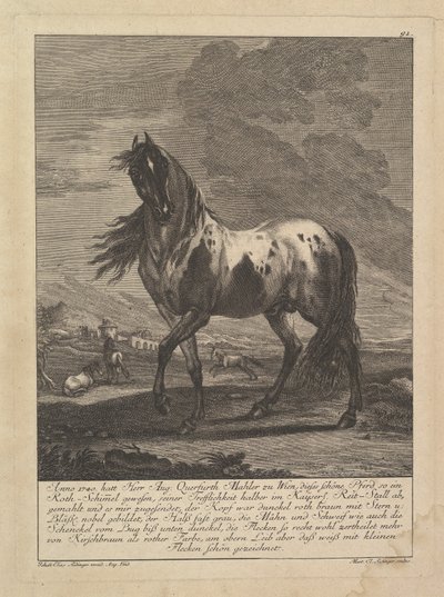 Hest, 1700-tallet. av Unbekannt