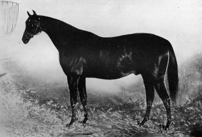 Gjestfrihet, 1800-tallet, 1911 av Unbekannt