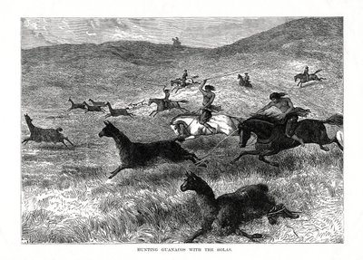 Jakt på Guanacos med Bolas, Sør-Amerika, 1877 av Unbekannt