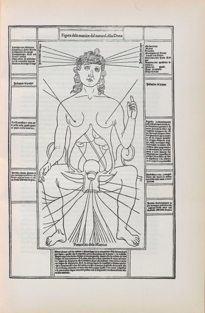 Illustrasjon fra Fasciculo di medicina av Johannes de Ketham, 1493. av Unbekannt