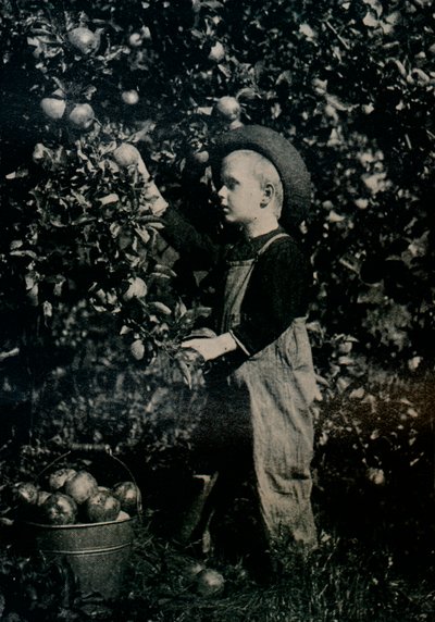 I One Of Ontarios fruktbare frukthager, c1934 av Unbekannt